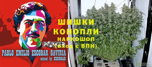 гашиш Нефтекумск