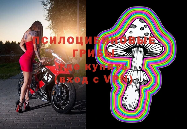 гашиш Нефтекумск