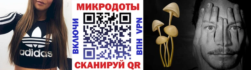 blacksprut ONION  Стерлитамак  Галлюциногенные грибы прущие грибы 