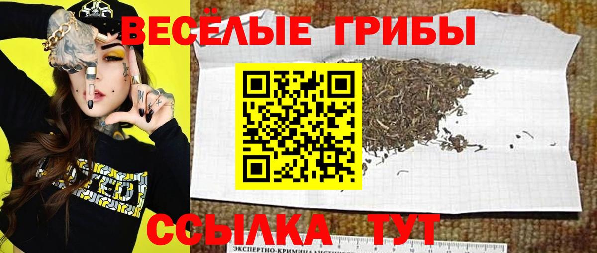 Псилоцибиновые грибы Psilocybe  Вход с VPN  Стерлитамак 